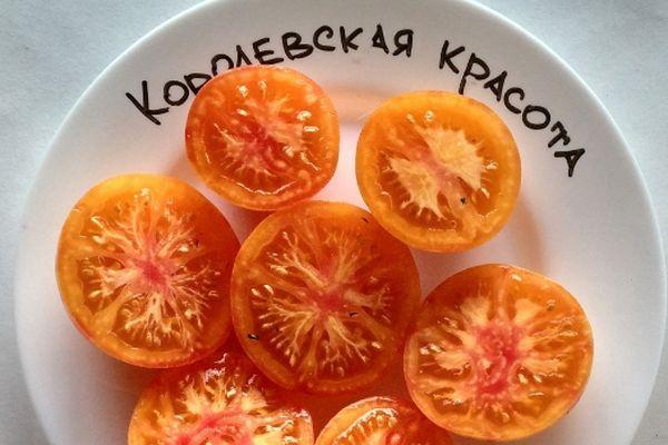 เนื้อมะเขือเทศ