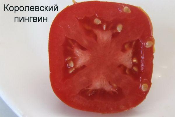 fruit de la tomate