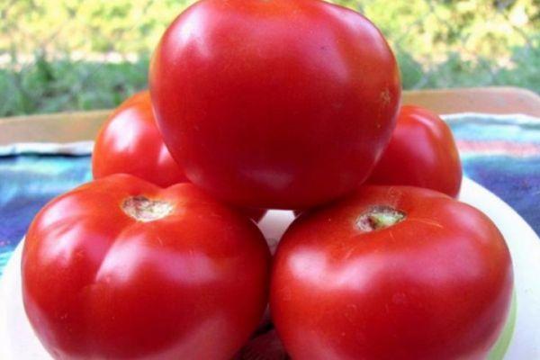 มะเขือเทศสุก