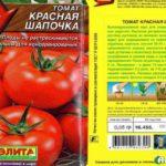 ลักษณะของมะเขือเทศ