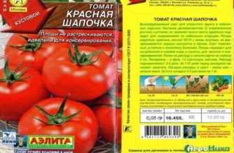 ลักษณะของมะเขือเทศ