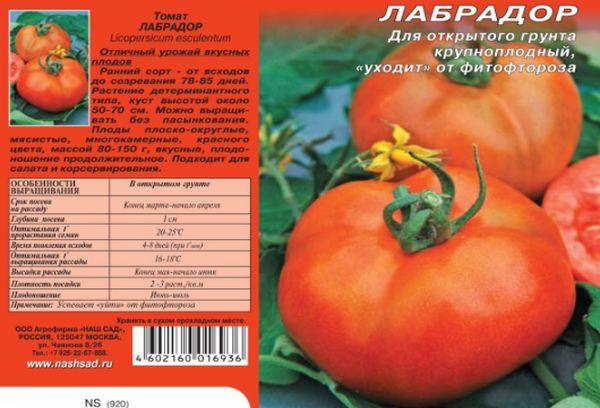 ลักษณะของมะเขือเทศ