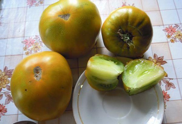 Tomates vertes
