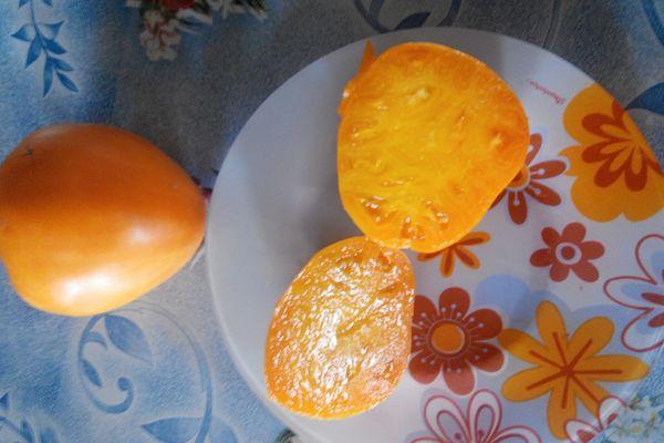 เนื้อมะเขือเทศ