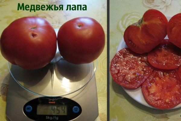 น้ำหนักมะเขือเทศ