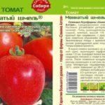 Description de la tomate