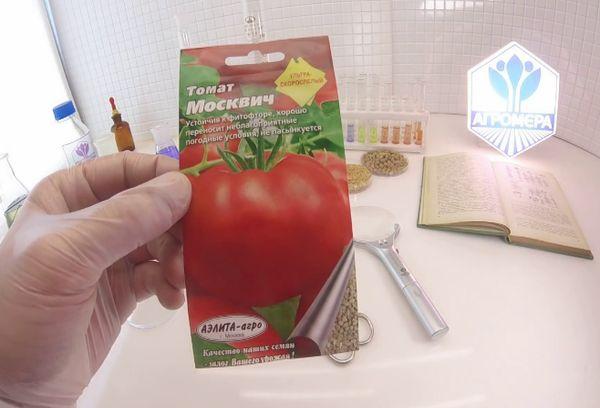 เมล็ดมะเขือเทศ