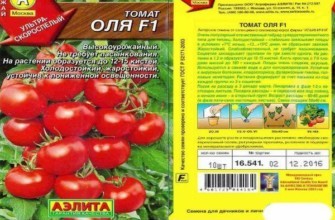 มะเขือเทศโอลยา