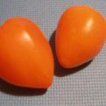 มะเขือเทศสีส้ม