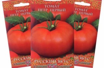 เมล็ดพันธุ์ในแพ็ค