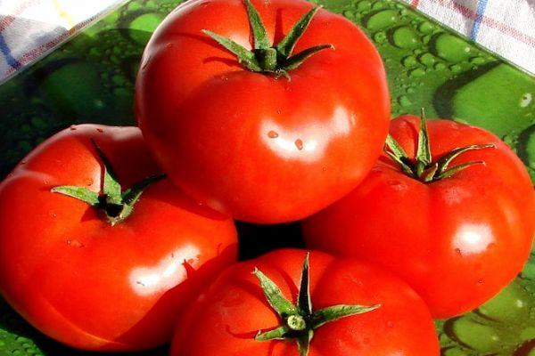 มะเขือเทศสุก