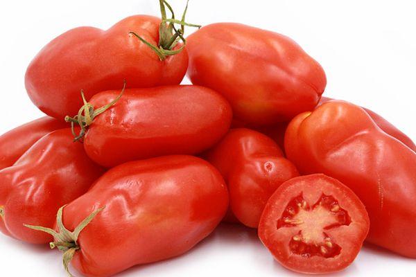 Tomate roquette
