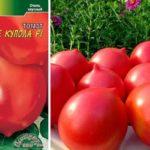 มะเขือเทศโดม