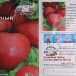 ลักษณะของมะเขือเทศ