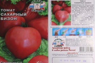 ลักษณะของมะเขือเทศ