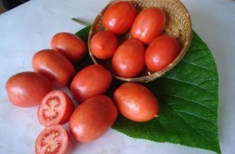 ซาลูทมะเขือเทศ