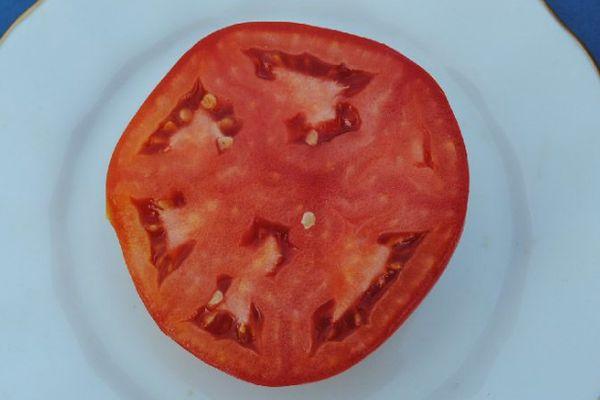pulpe de tomate