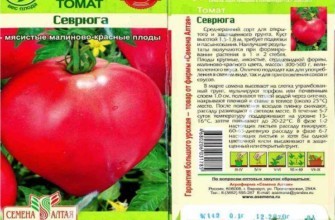 ลักษณะของมะเขือเทศ