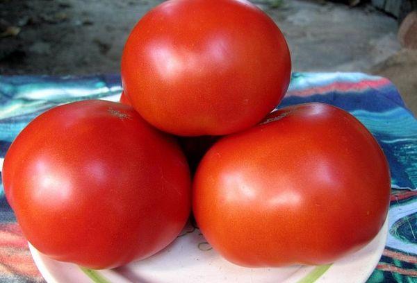 มะเขือเทศบนจาน