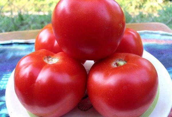 มะเขือเทศบนจาน