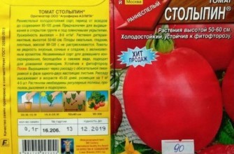 ลักษณะของมะเขือเทศ