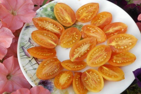 เนื้อมะเขือเทศ