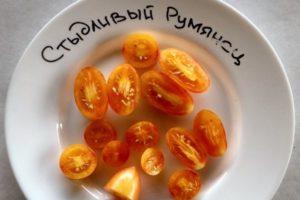 คำอธิบายมะเขือเทศบลัชและลักษณะการเพาะปลูก