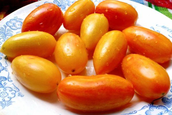 มะเขือเทศเชอร์รี่สีเหลือง