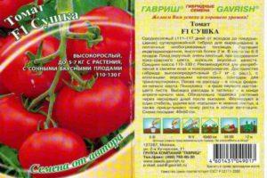 คำอธิบายพันธุ์มะเขือเทศ Sushka f1 และการปลูกโดยใช้ต้นกล้า