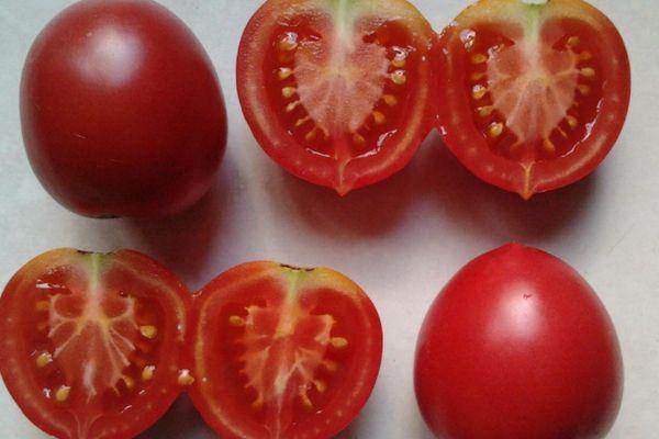 Tomates en tranches