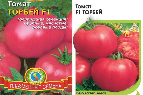 เมล็ดมะเขือเทศ