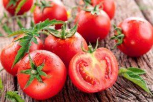 คำอธิบายพันธุ์มะเขือเทศ Verlioka การเพาะปลูกและคุณสมบัติการดูแล