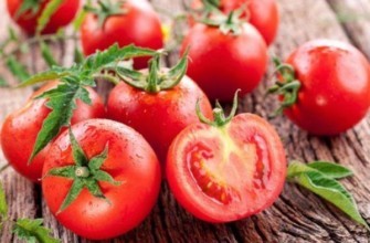 มะเขือเทศเวอร์ลิโอก้า