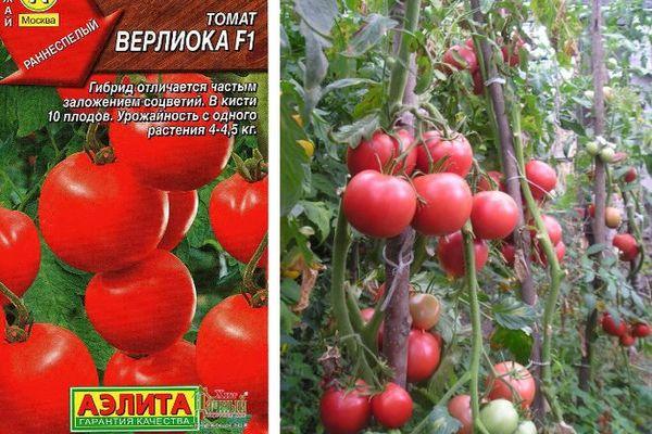 Tomates Verlioka