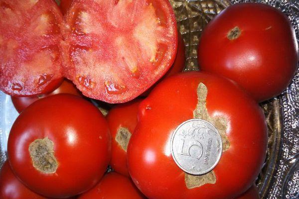 เนื้อมะเขือเทศ