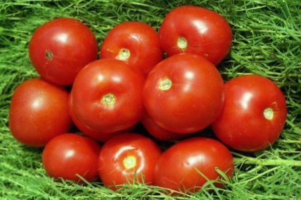 มะเขือเทศสุก