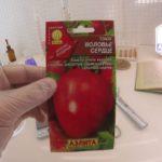 เมล็ดมะเขือเทศ