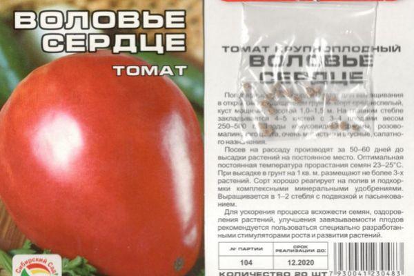 ลักษณะของมะเขือเทศ