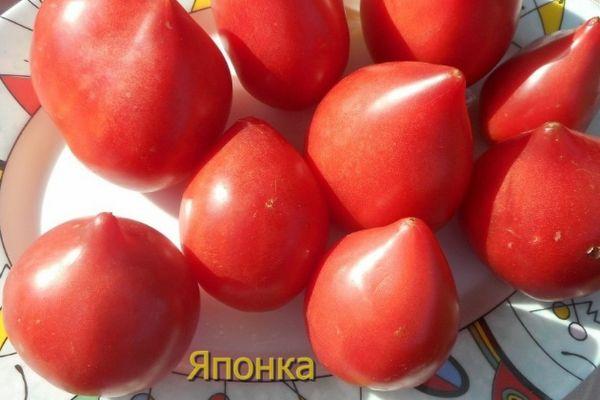 tomates japonaises