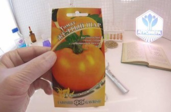 แพ็คเมล็ดพันธุ์