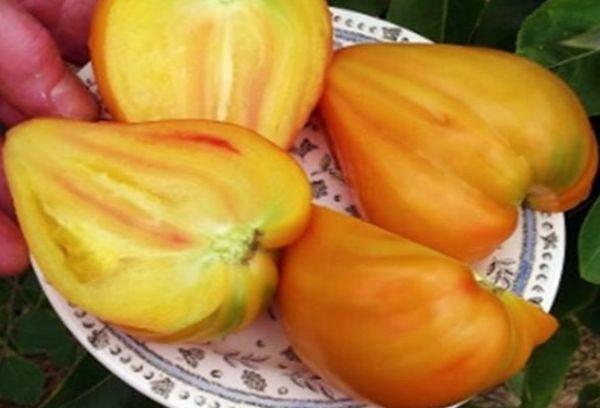 เนื้อมะเขือเทศ