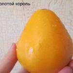 มะเขือเทศสีเหลือง