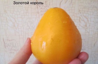 มะเขือเทศสีเหลือง