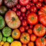 มะเขือเทศต่างชนิดกัน