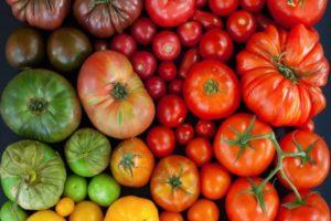 คำอธิบายพันธุ์มะเขือเทศที่ดีที่สุดสำหรับพื้นที่โล่งในภูมิภาค Nizhny Novgorod