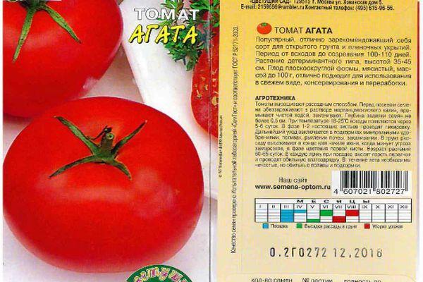 ลักษณะของมะเขือเทศ