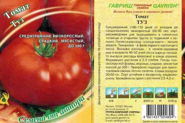 มะเขือเทศเอซ