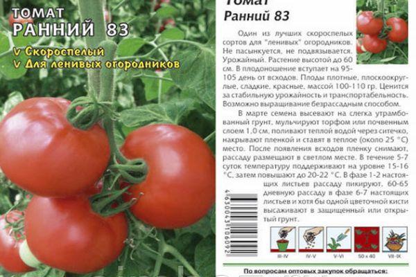 มะเขือเทศต้น-83