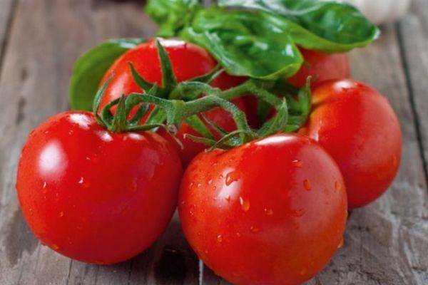 แสงไฟแห่งมอสโก