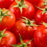 มะเขือเทศสุก